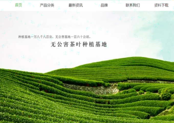 茶葉網(wǎng)站建設(shè)！